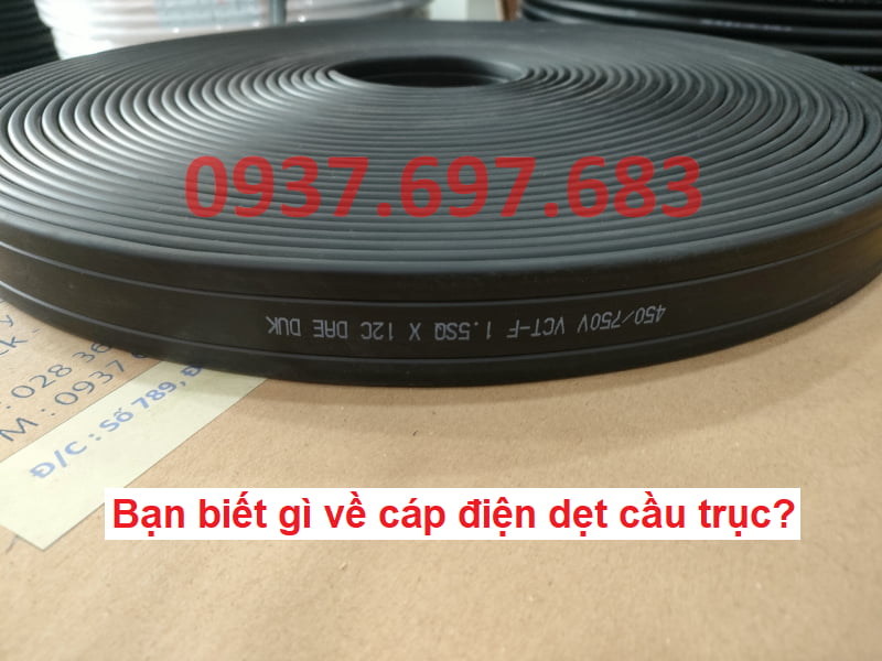 Công ty TNHH MTT Hàn Quốc Cáp dẹt cầu trục 1.5SQx12C Công ty TNHH MTT Hàn Quốc Cáp dẹt cầu trục 1.5SQx12C