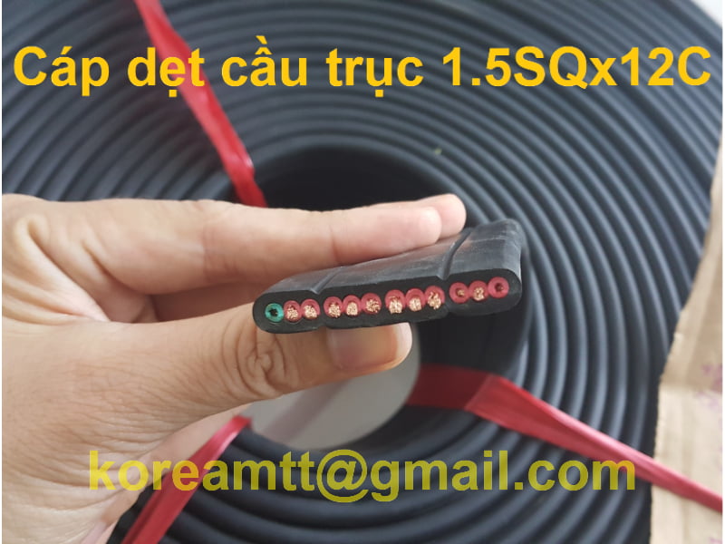 Cáp dẹt cầu trục