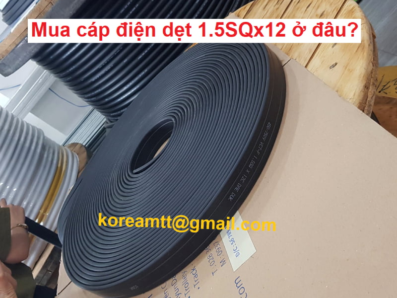Công ty TNHH MTT Hàn Quốc Cáp dẹt cầu trục 1.5SQx12C Công ty TNHH MTT Hàn Quốc Cáp dẹt cầu trục 1.5SQx12C