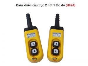 Điều khiển cầu trục H02A